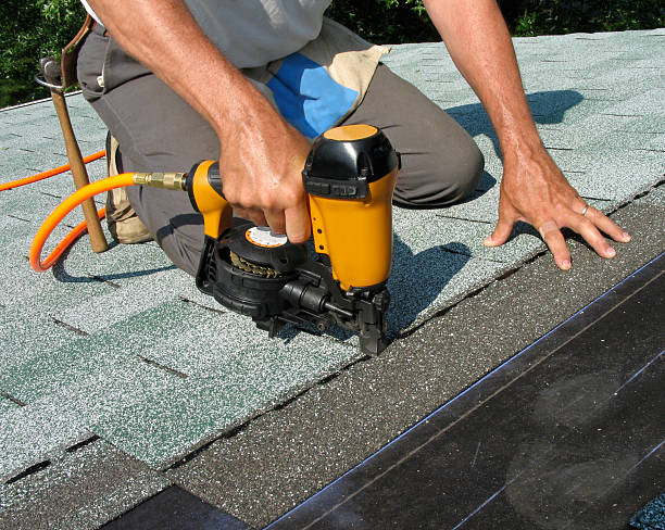 Roof Gutter Cleaning in Obion, TN