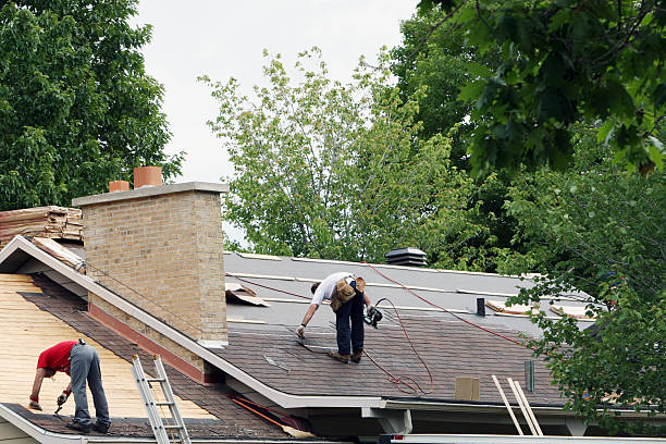 Best Roof Gutter Cleaning  in Obion, TN