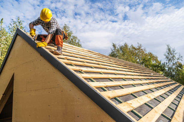 Best Roof Gutter Cleaning  in Obion, TN